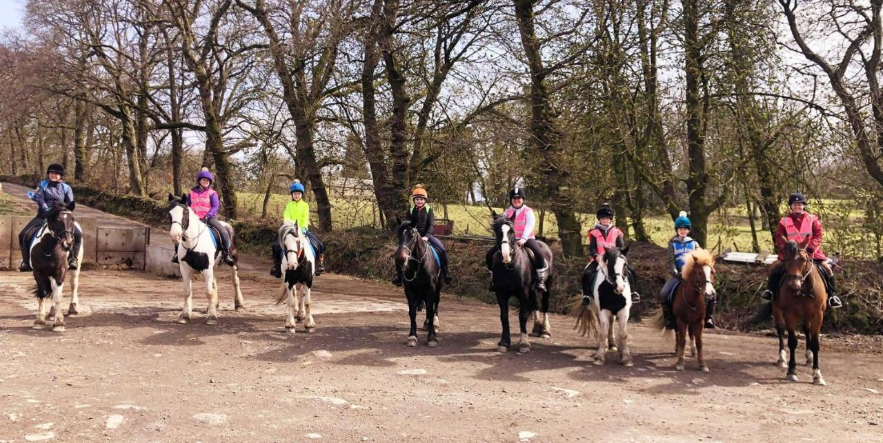 Wellsfield Farm Holiday Lodges Stirling Luaran gambar