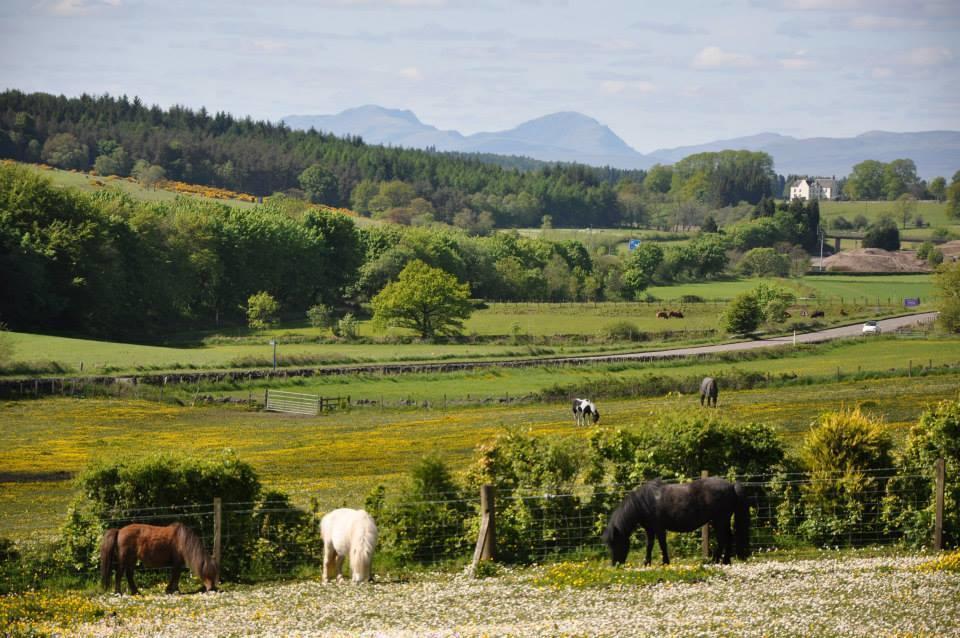 Wellsfield Farm Holiday Lodges Stirling Luaran gambar